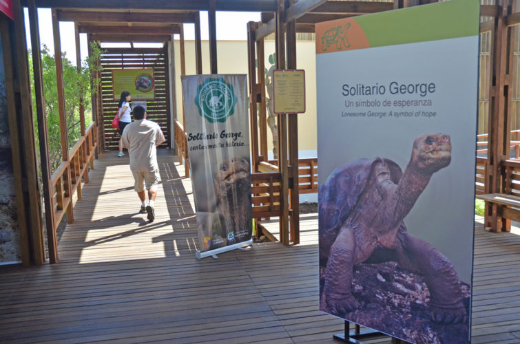 Lonesome George Exhibit in the Galapagos