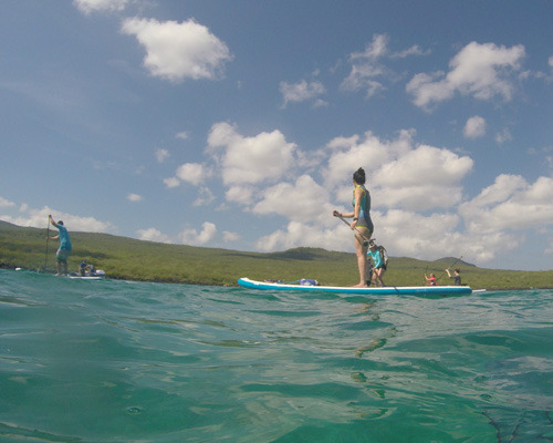 Sup and Swim in Galapagos!
