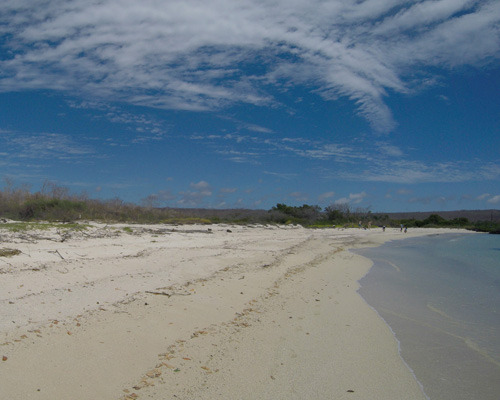 White sandy beach in the Galapagos