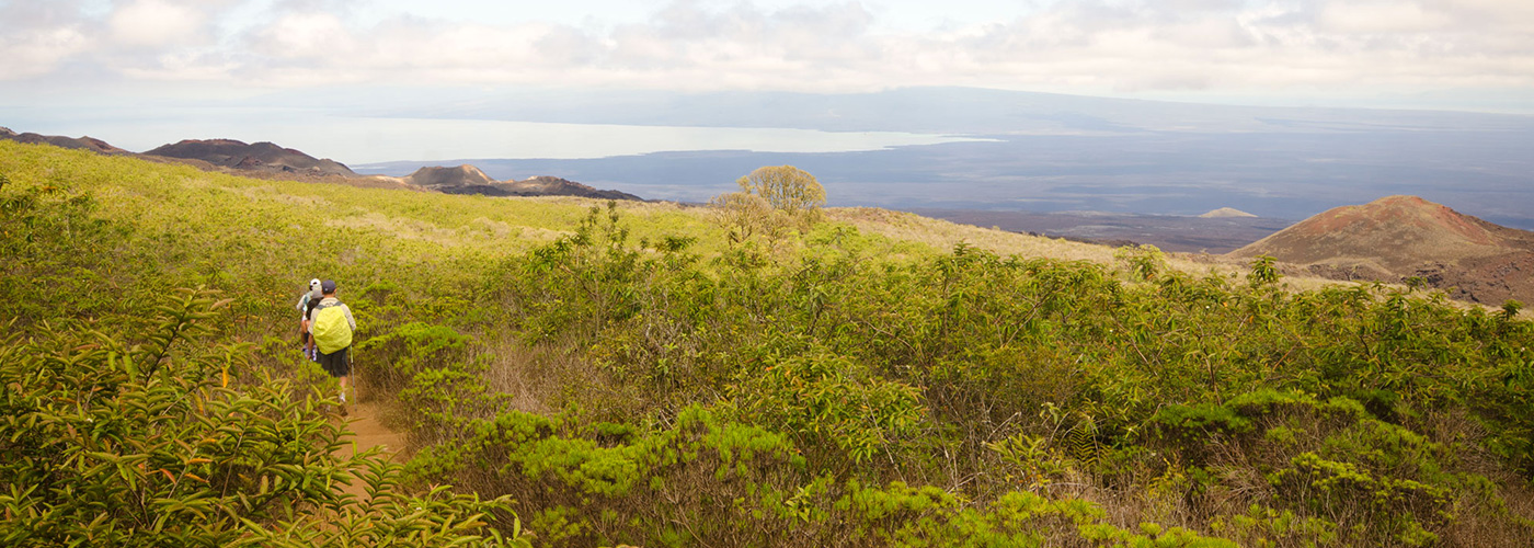 Galapagos Highlands _ Galapagos land Tour