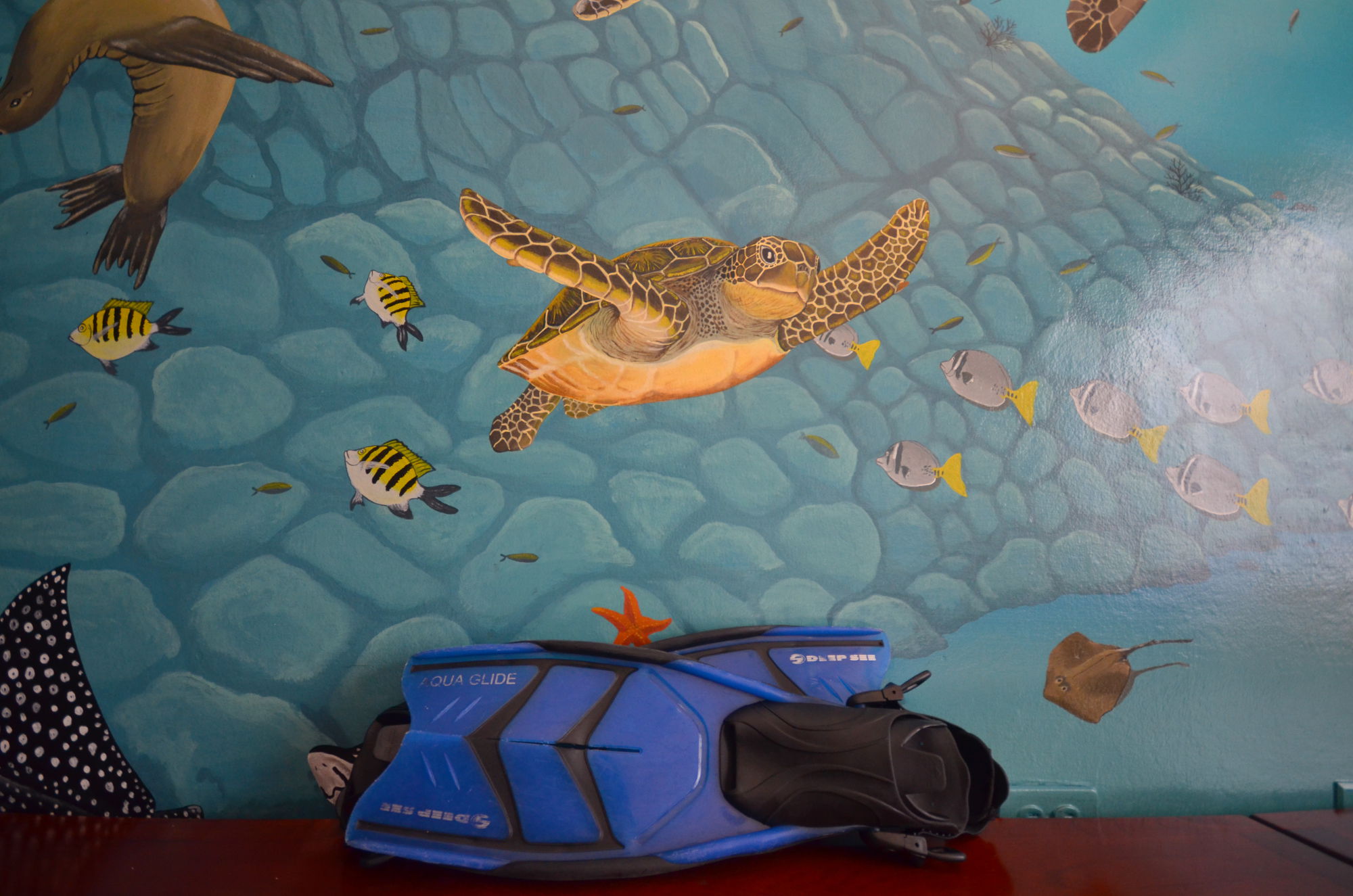 Snorkel Gear for rent in the Galapagos