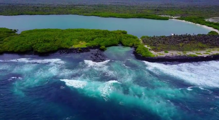 4 Galapagos Islands. 4 Galapagos Videos.