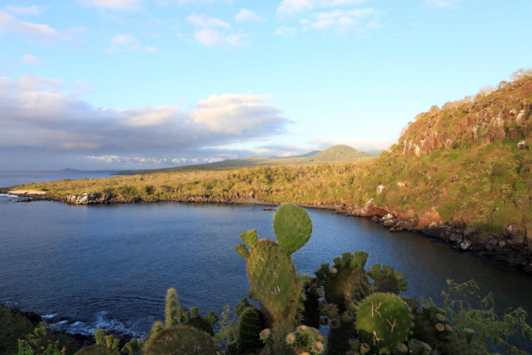 Galapagos Scenery