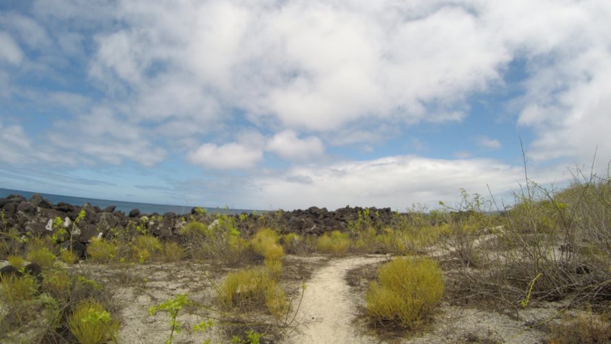 Playa Baquerizo Galapagos hike