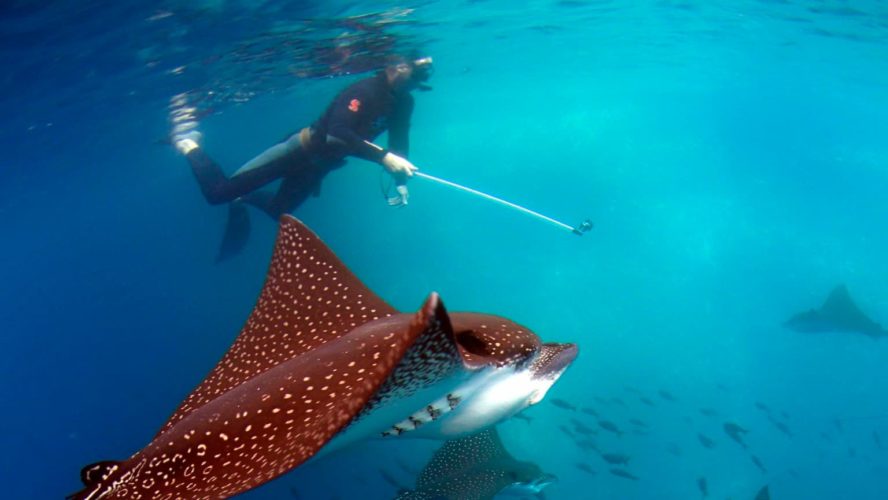 Galapagos sustainable land tour - kicker rock snorkel tour