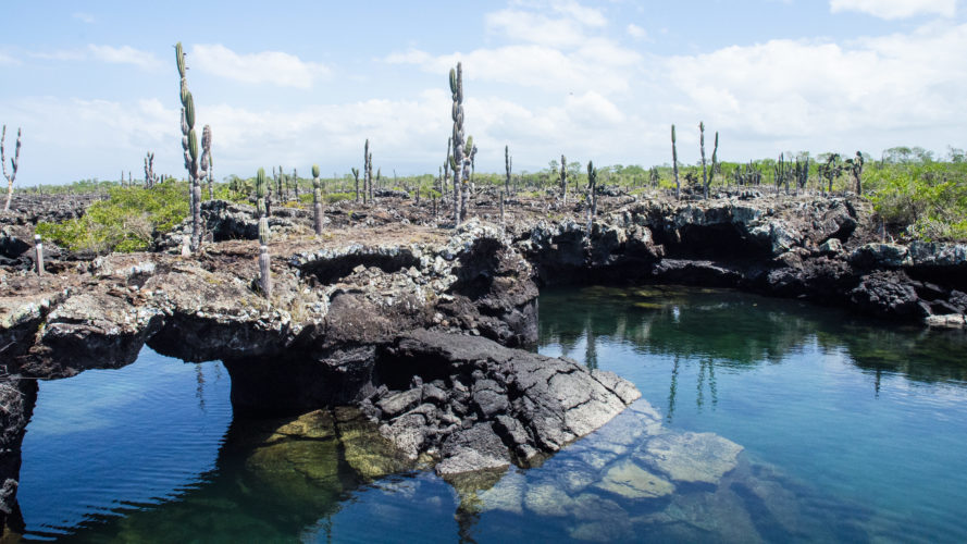 Galapagos land tour - isabela island - tuneles