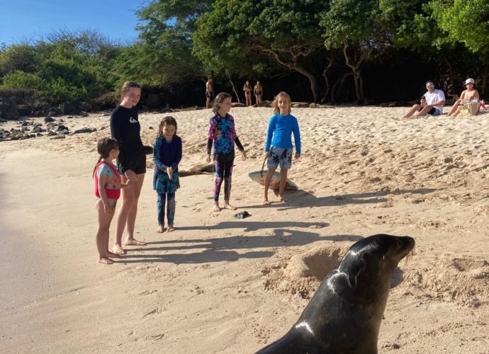 Family Trip Galapagos Sea Lion Kids Beach