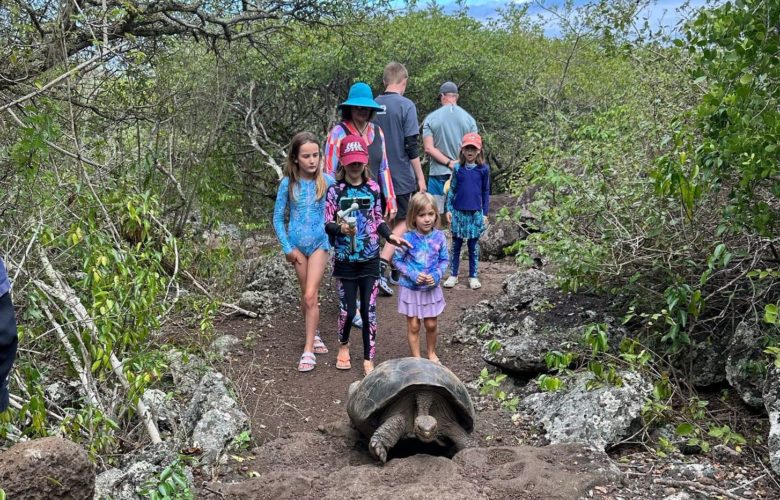 Galapagos Family tour - land based galapagos family trip - kids galapagos tortoise encounter