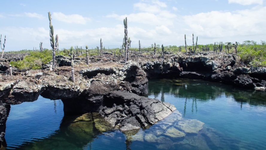 Galapagos  Isabela island land based sustainable tour - galapagos islands top tour
