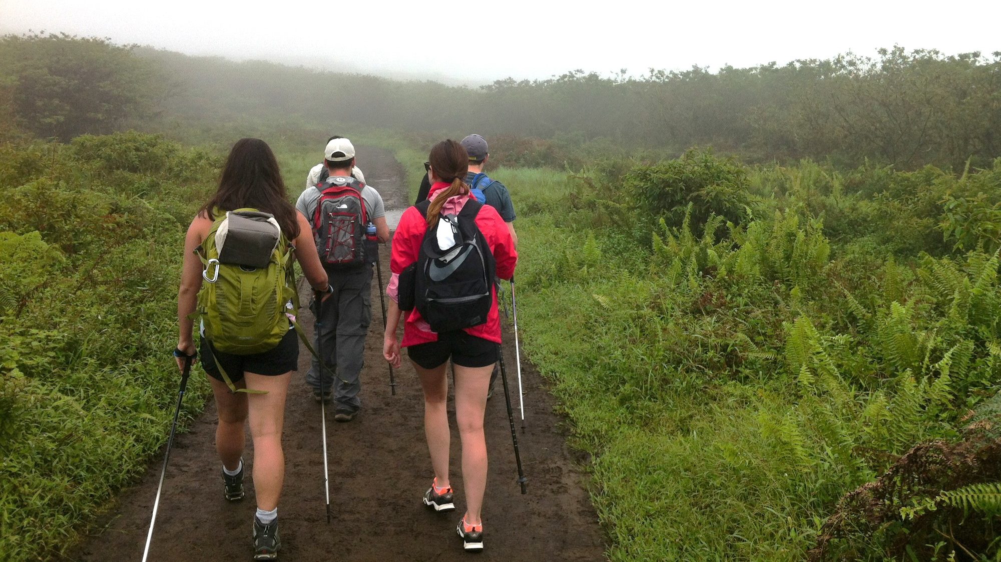 Guided volcano hike at Sierra Negra as part of a student tour in the Galápagos