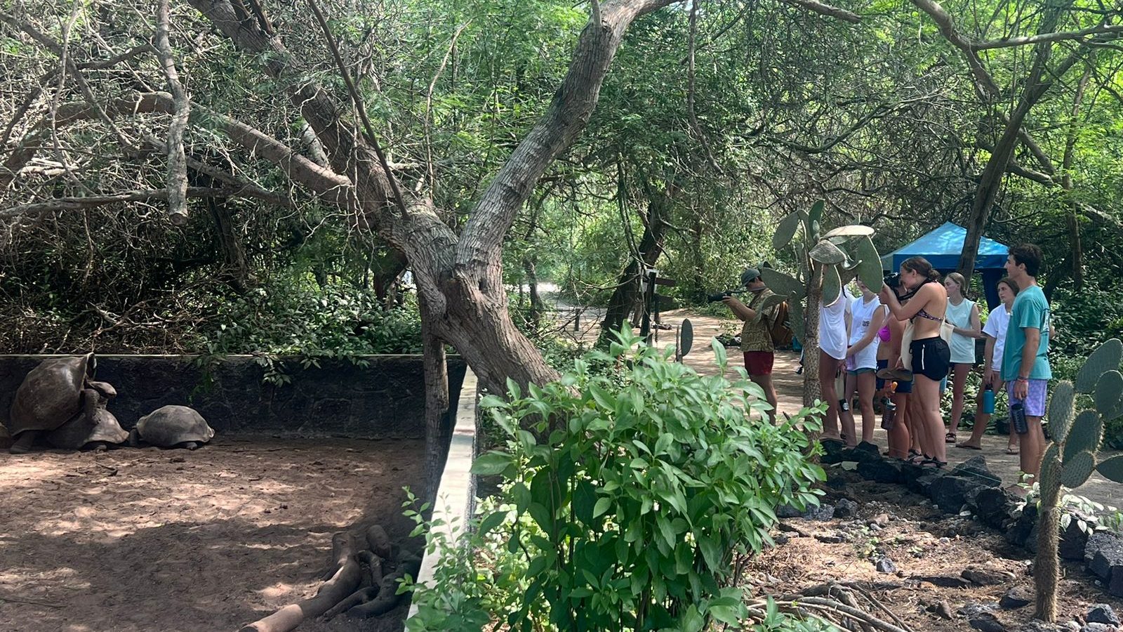 Student trip to the Galápagos featuring close encounters with giant tortoises