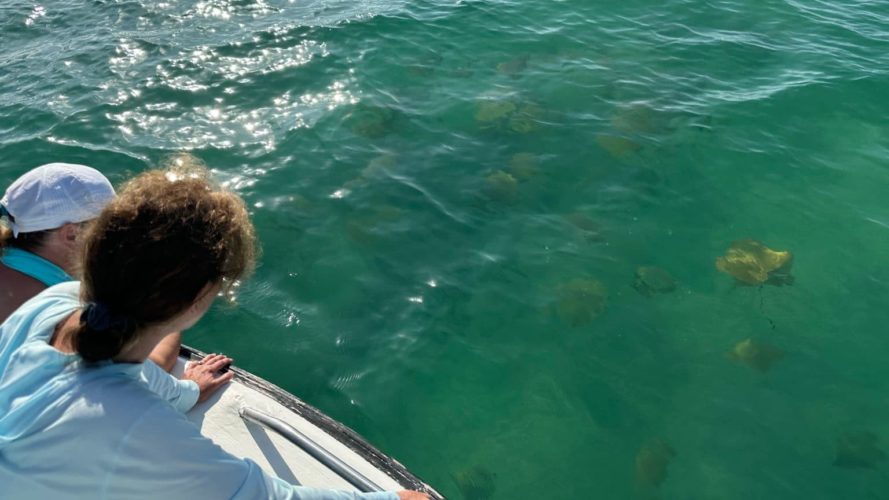 Galapagos tintoreras boat tour - galapagos land tour - galapagos top tour