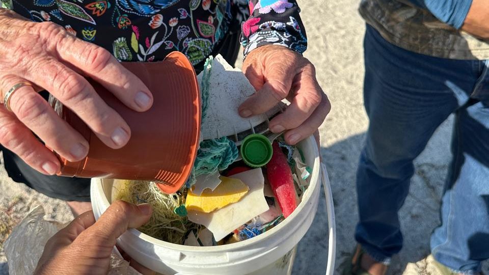 Galapagos Tour Activity Community-Led Beach Cleanup Initiative in the Galápagos Islands