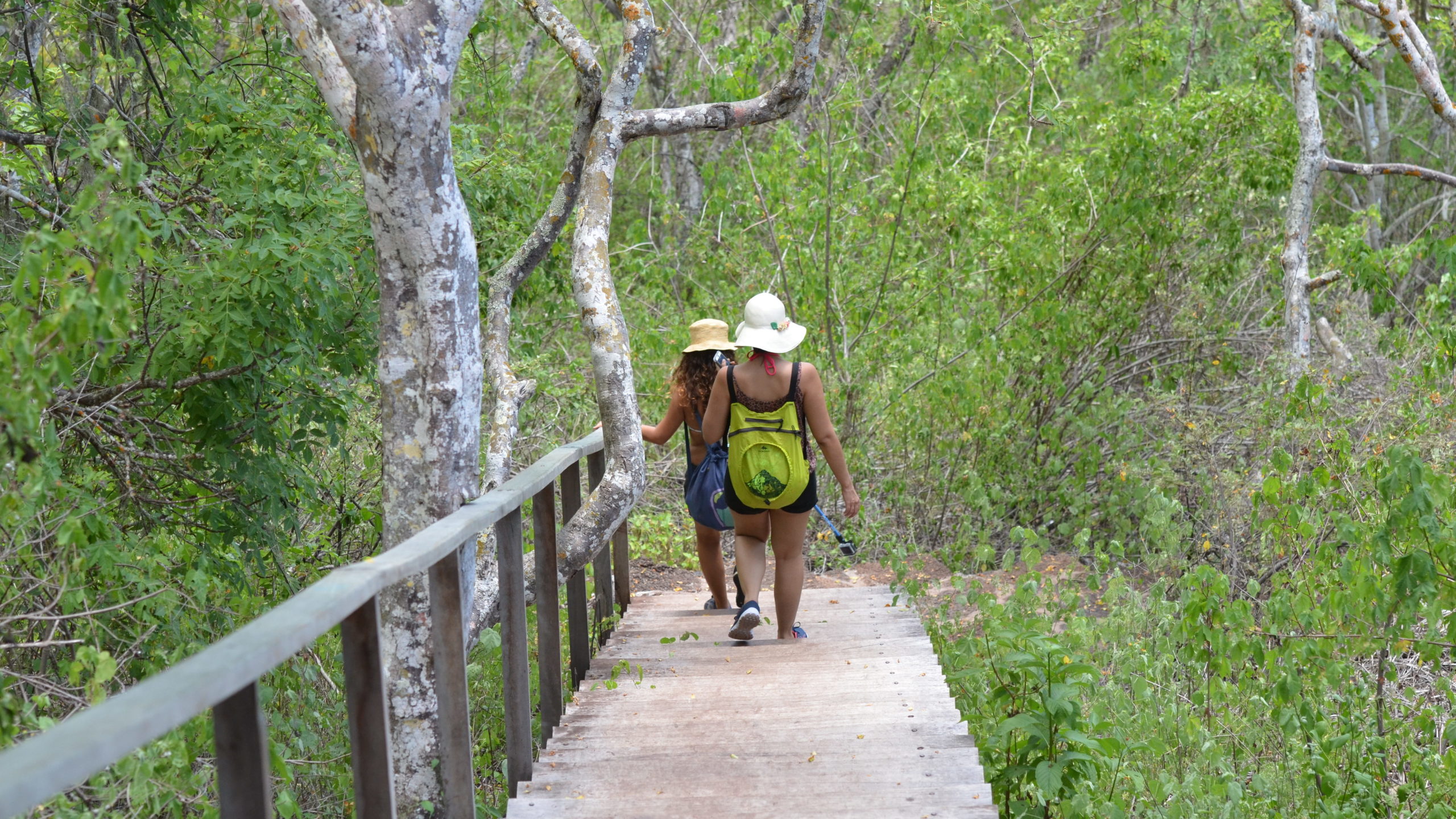 Hiking the Tijeretas Trail on San Cristóbal, where breathtaking view Galápagos