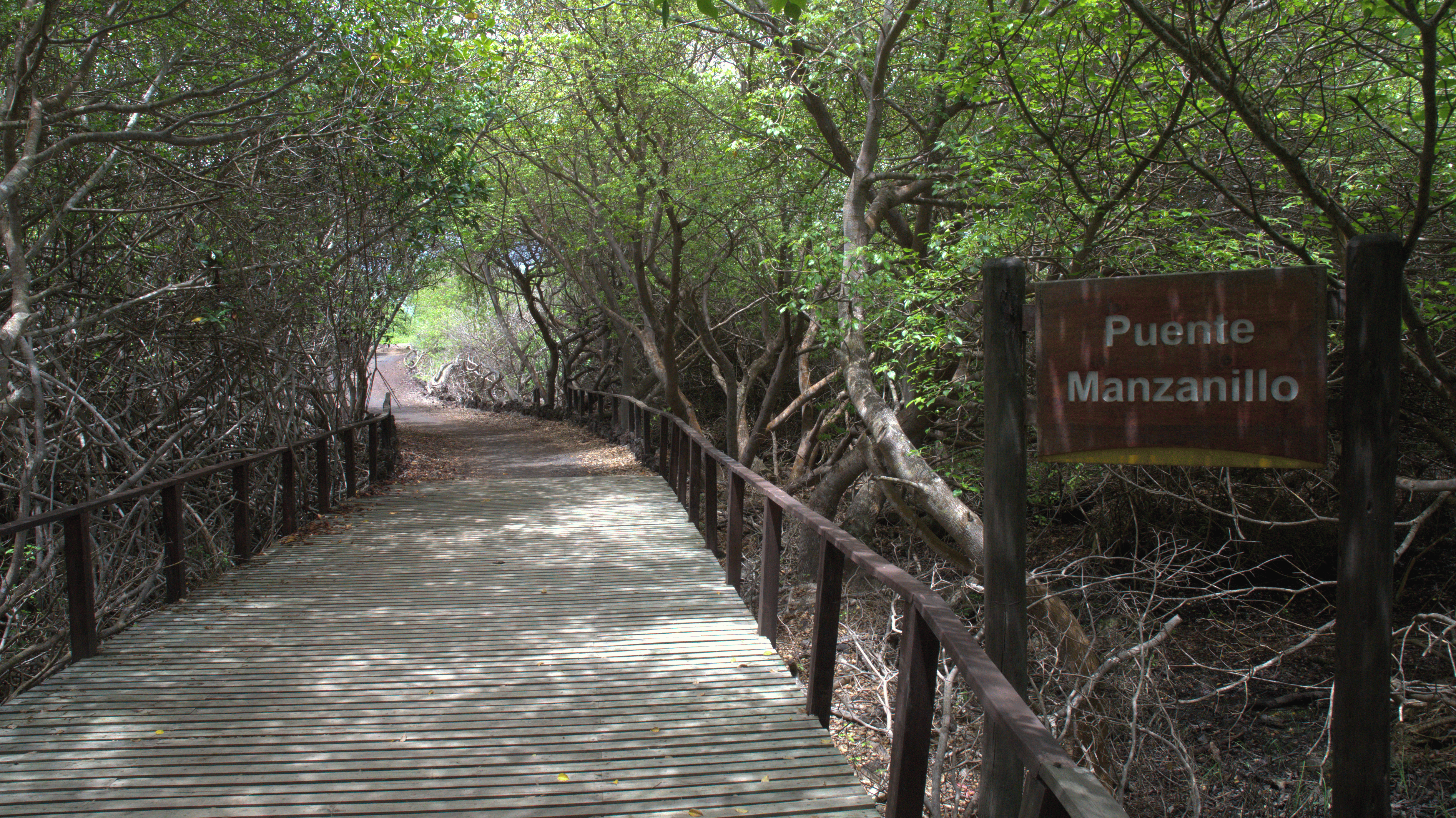 Walking the historic Wall of Tears trail on Isabela, along the Camino de las Tortugas