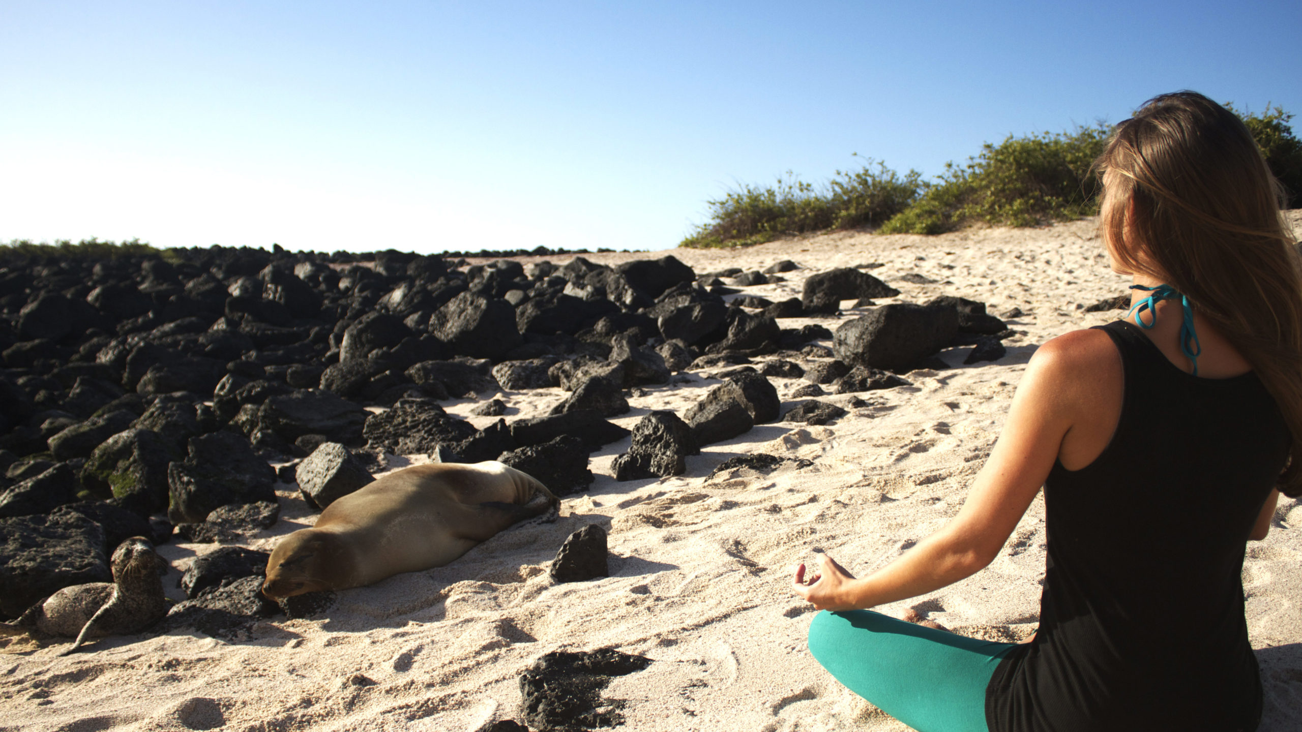 Morning yoga on a Galápagos beach, with playful sea lions as your unique workout companions