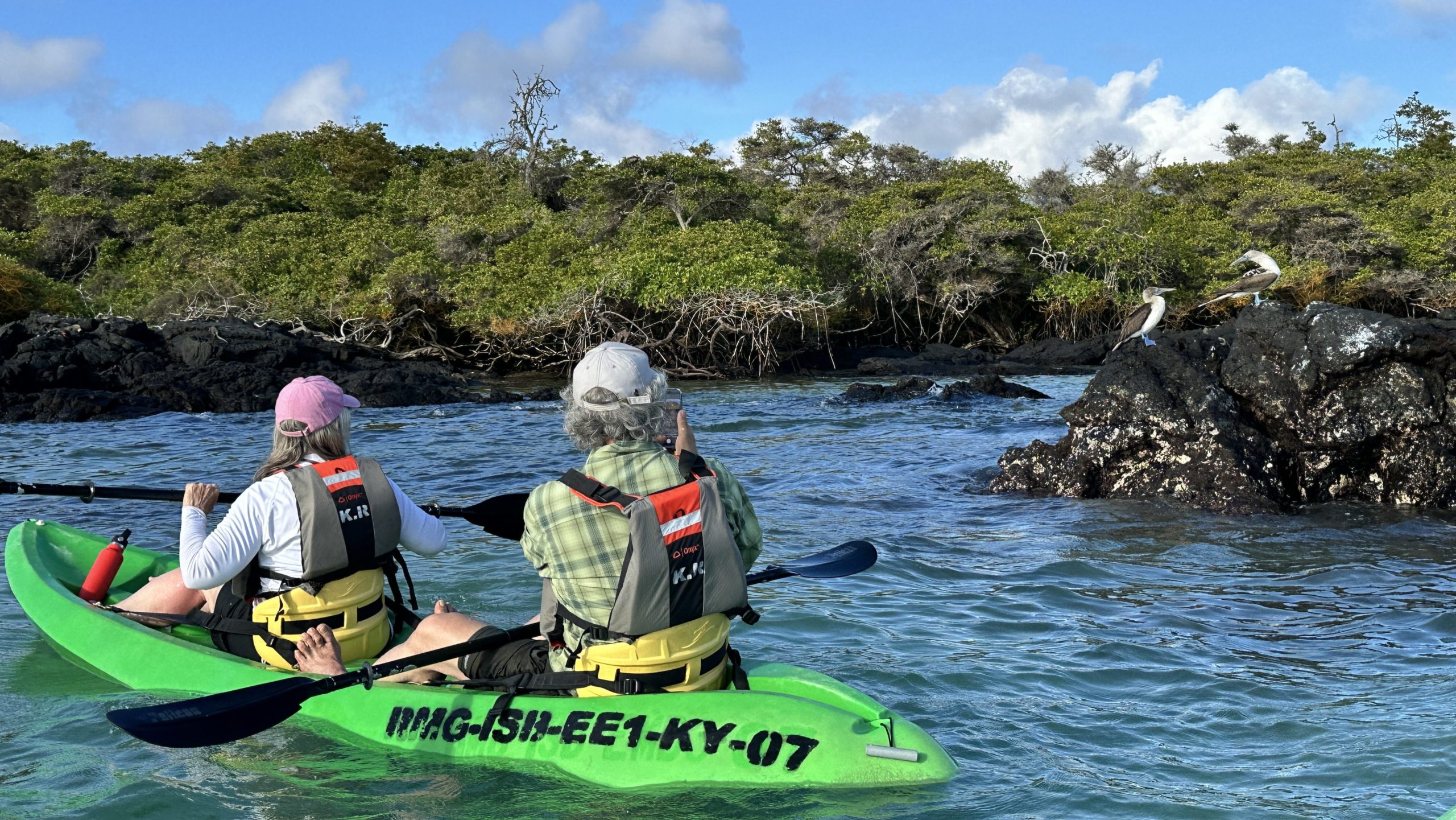 Kayaking together through the serene waters of Isabela Bay