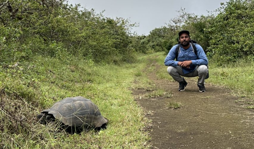 Galapagos Giant Tortoise Encounter Galapagos Tour