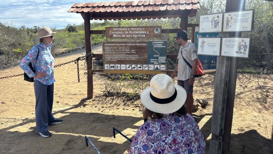 Wheelchair-accessible Galápagos tours that make exploring the islands easy, sustainable, and unforgettable