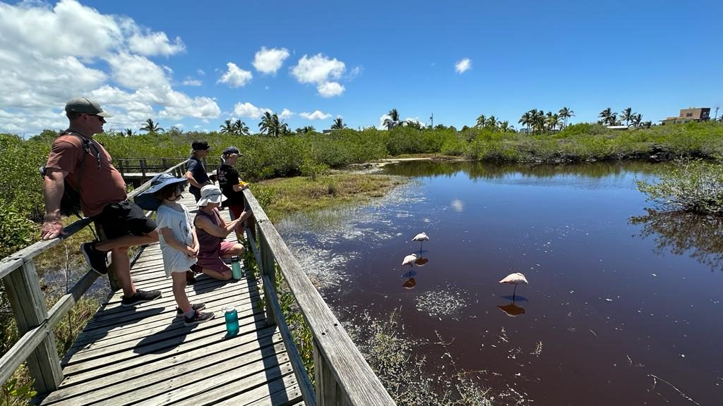 Galapagos family tour