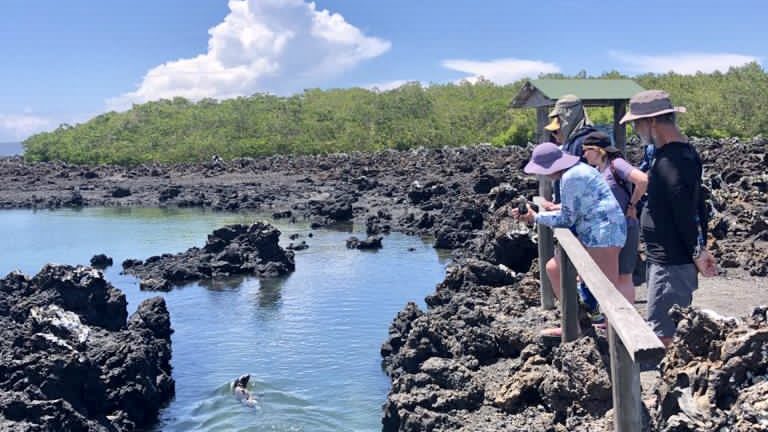 Galapagos IslandsFamily Tour - Sealion - Isabela - Tintoreras