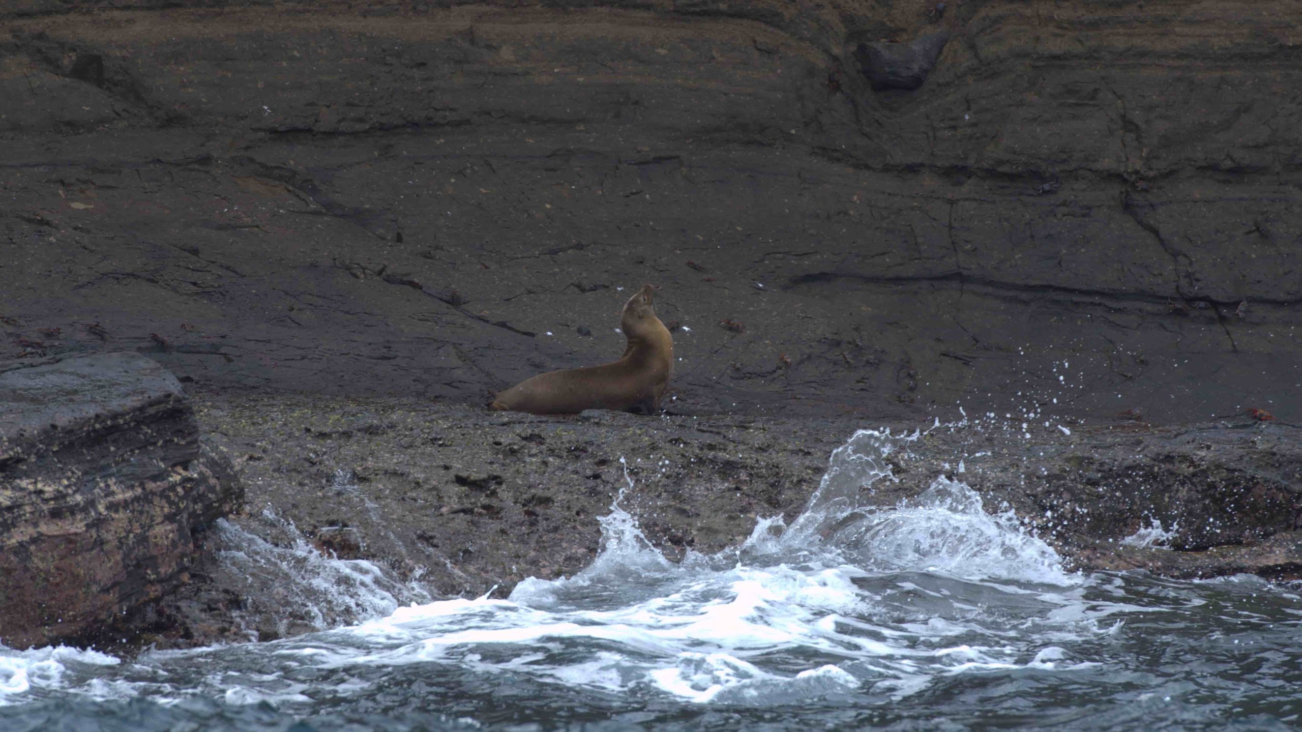Tortuga Islet _ Galapagos Islands _ ISabela Island _ Land-Based Galapagos Sustainable Tour