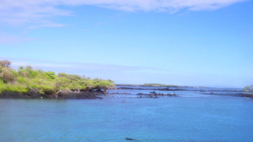 Concha de Perla _ Isabela Island Galapagos _ Land-Based Galapagos Sustainable Tour