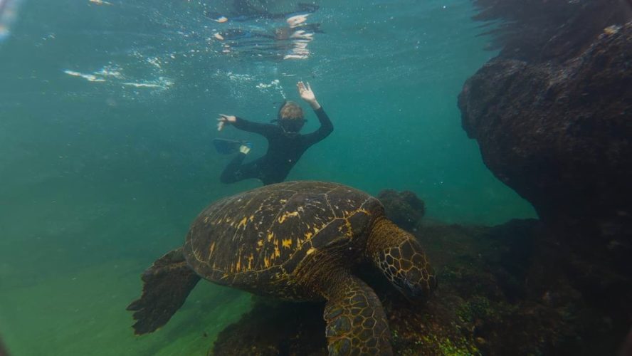 educational student tours - Galapagos Islands Teen Student Snorkel