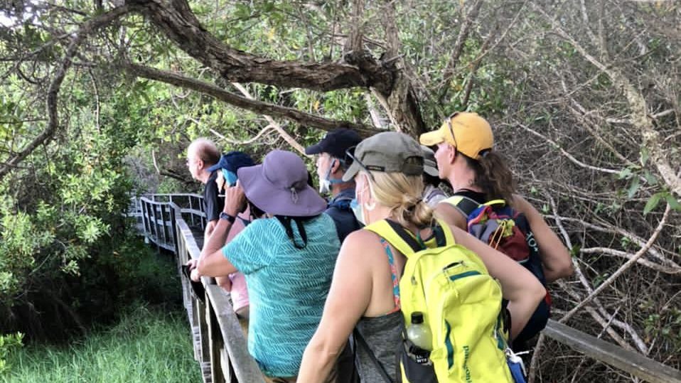 Isabela Island Galapagos Wetlands _ Land-Based Galapagos Sustainable Tour