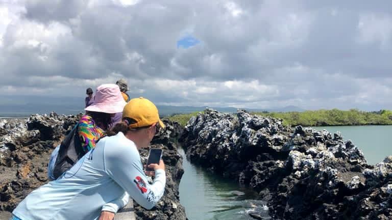 Galapagos Isabela Island Tintoreras _ Land-Based Galapagos Sustainable Tour
