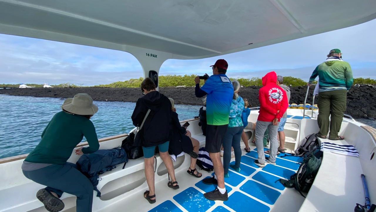 Galapagos ISA Tintoreras Boat Ride - Galapagos Land-Based Sustainable Tour