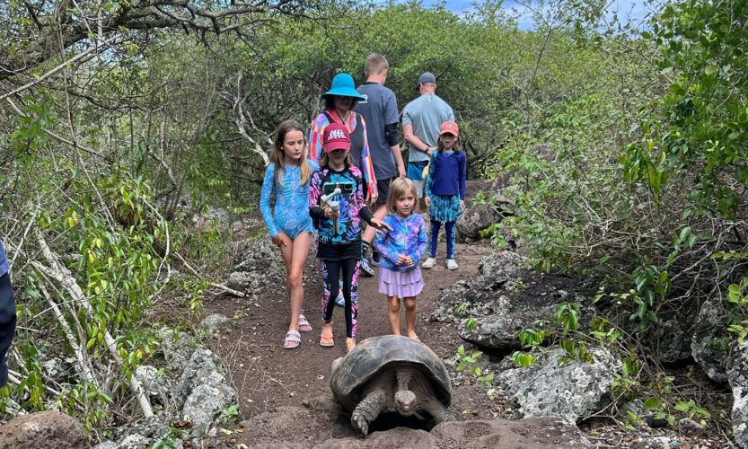 San Cristobal _ Galapagos Family Land Based Tour _ Giant Tortoise