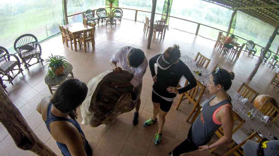 Galapagos Sustainable Student Tour - Giant Tortoise Santa Cruz Island