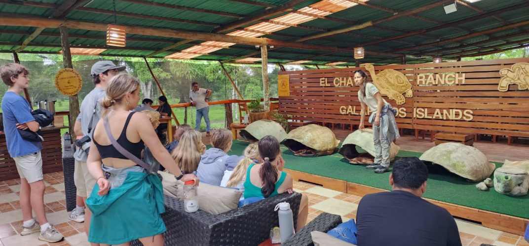 Galapagos Sustainable Student Tour - Giant Tortoise Santa Cruz Island