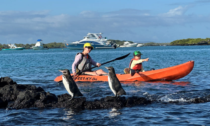Galapagos Sustainable Student Tour - Isabela Island Kayaking Penguins