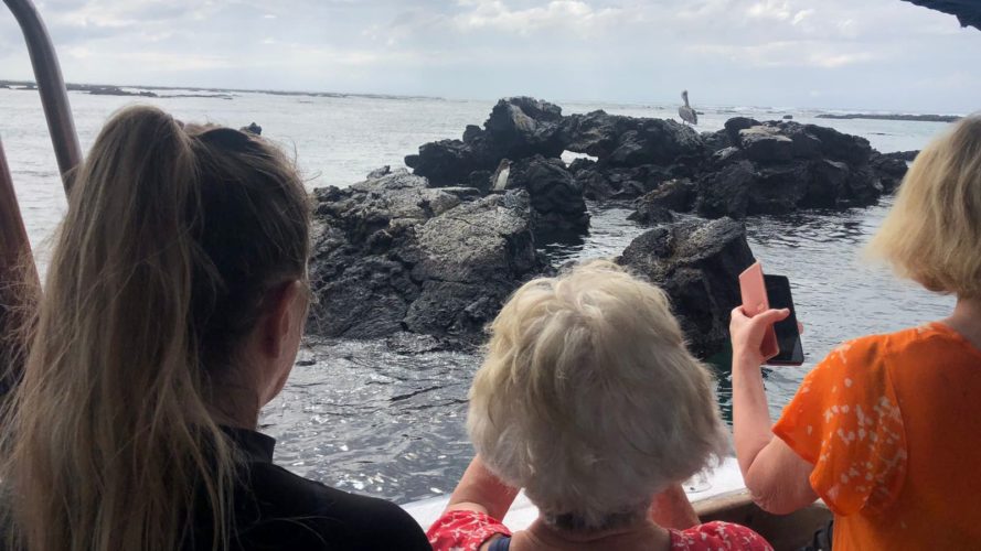 Galapagos Sustainable Land-based tour boat ride, Penguin