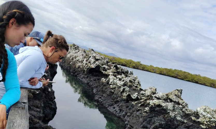 Galapagos Family Land Based Tour _ Sustainable Land Based Experience _ Las Tintoreras Isabela Island