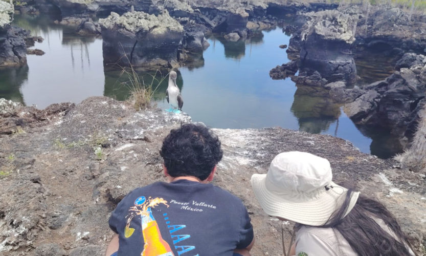 Galapagos Islands Sustainable Land-Based Tour, Day Tour to Los Tuneles, Walk