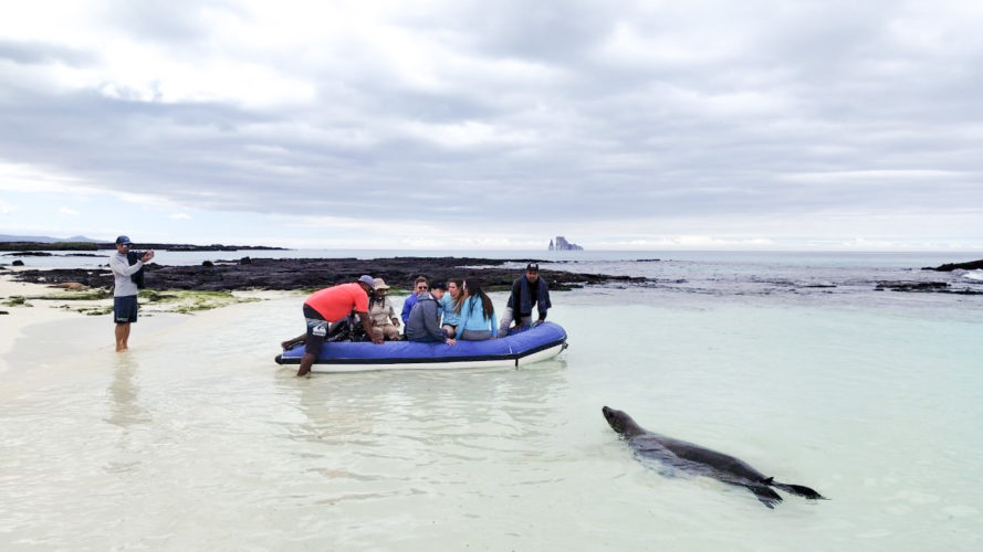 Galapagos Family Land Based Tour _ Sustainable Land Based Experience _ Cerro Brujo Tour