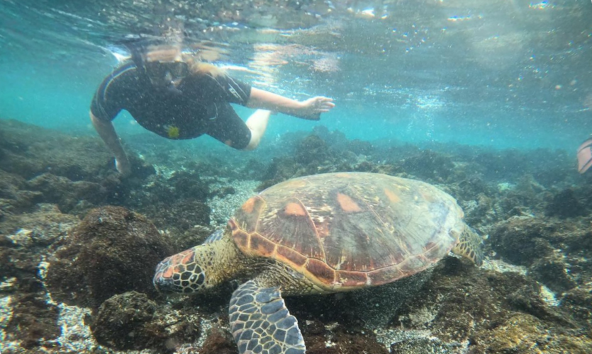 Galapagos Islands Sustainable Land-Based Tour, Day Tour to Los Tuneles, Snorkel