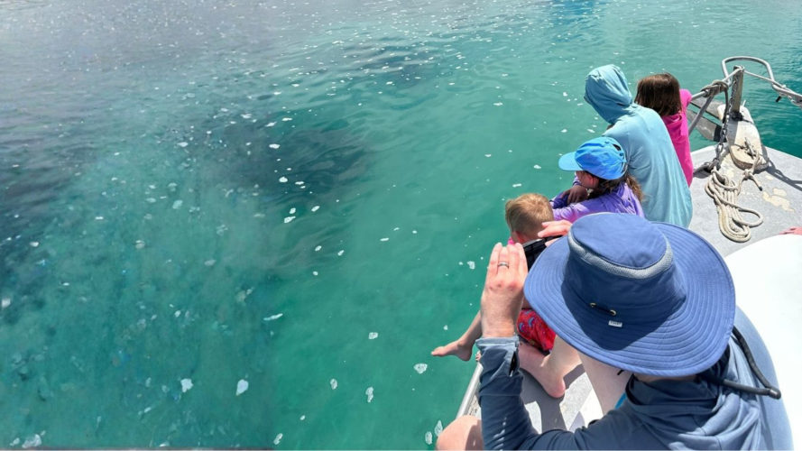 Galapagos Land Based All Inclusive Family Tour - Isabela Island Los Tuneles Day tour