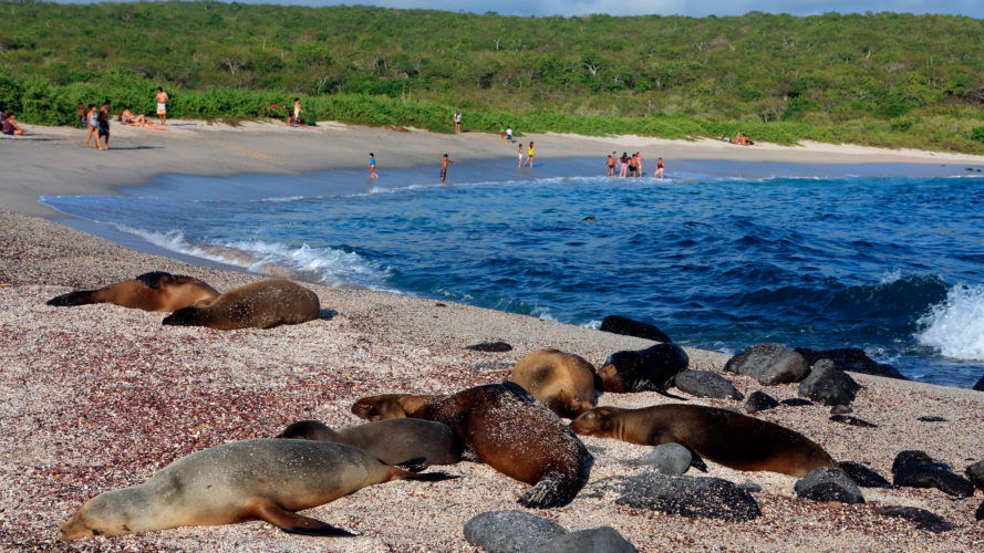 La Lobería, San Cristóbal Island, during a sustainable Galápagos tour