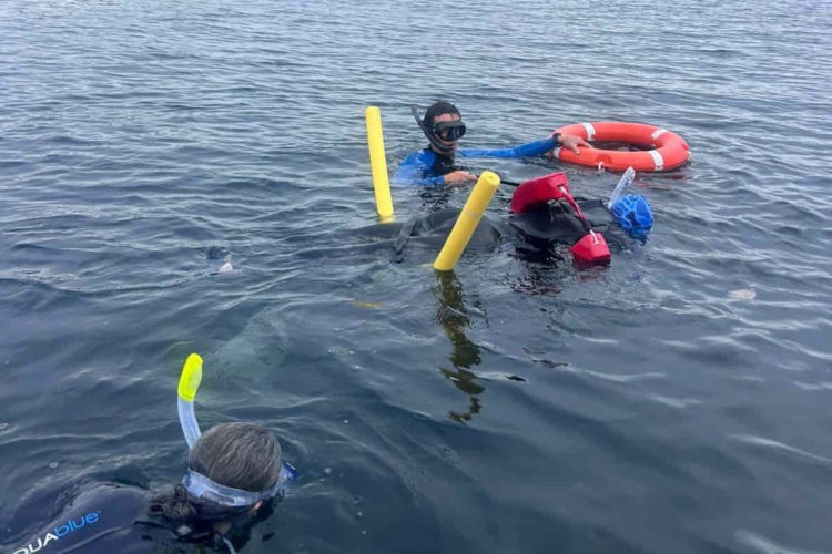 Accessible snorkeling experience in the Galápagos Islands, part of a wheelchair-accessible Galápagos tour