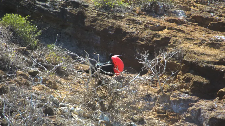 Galapagos Island hopping tour inter-island boat ride