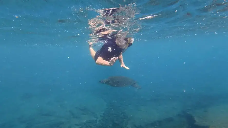Galapagos snorkeling activities are included in Galakiwi Galapagos land tour