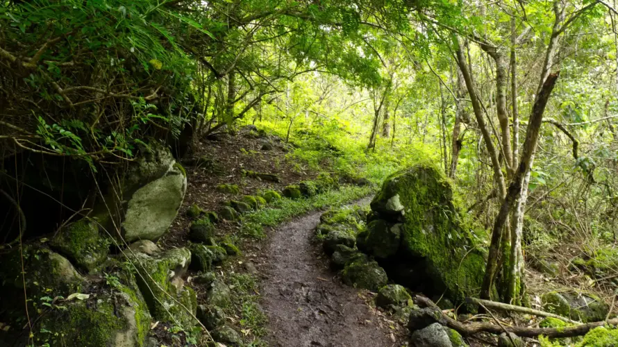 Galapagos land based trip, Floreana Island, Floreana Lush Highlands Hike