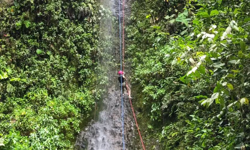 Galapagos and Ecuador tour - Mindo bird watching in Ecuador's choco - waterfall climbing