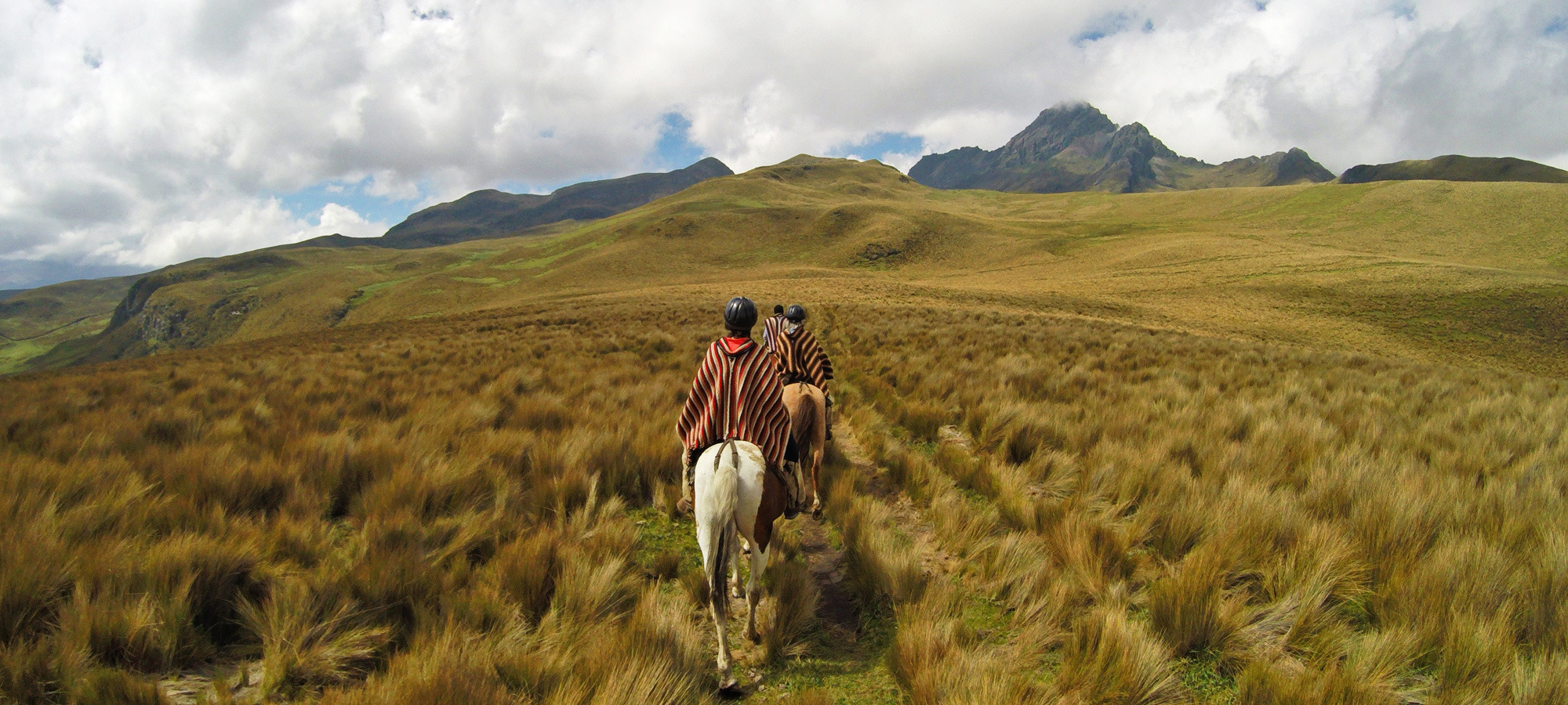 Galakiwi Ecuador Tour