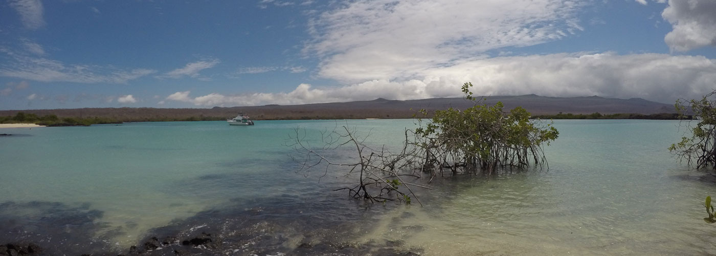 Galapagos Islands Wind Energy	