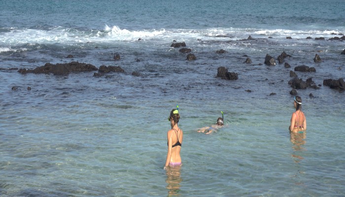 Galapagos sustainable land-based tour , galapagos snorkel